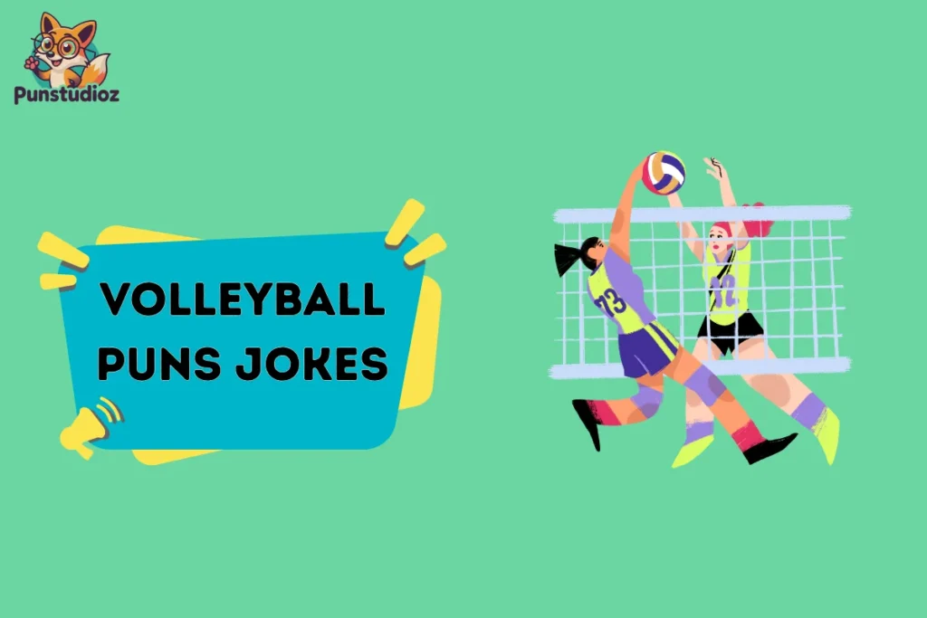 Volleyball Puns Jokes