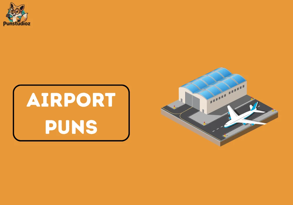 Airport Puns