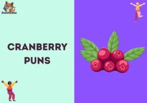 Cranberry Puns