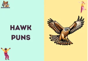 Hawk Puns