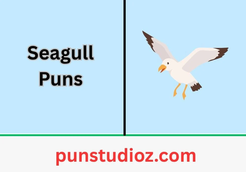 Seagull Puns