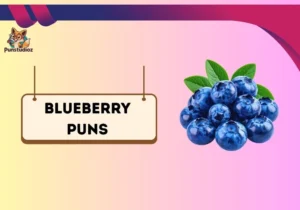 Blueberry Puns